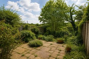 Summer Patio- click for photo gallery